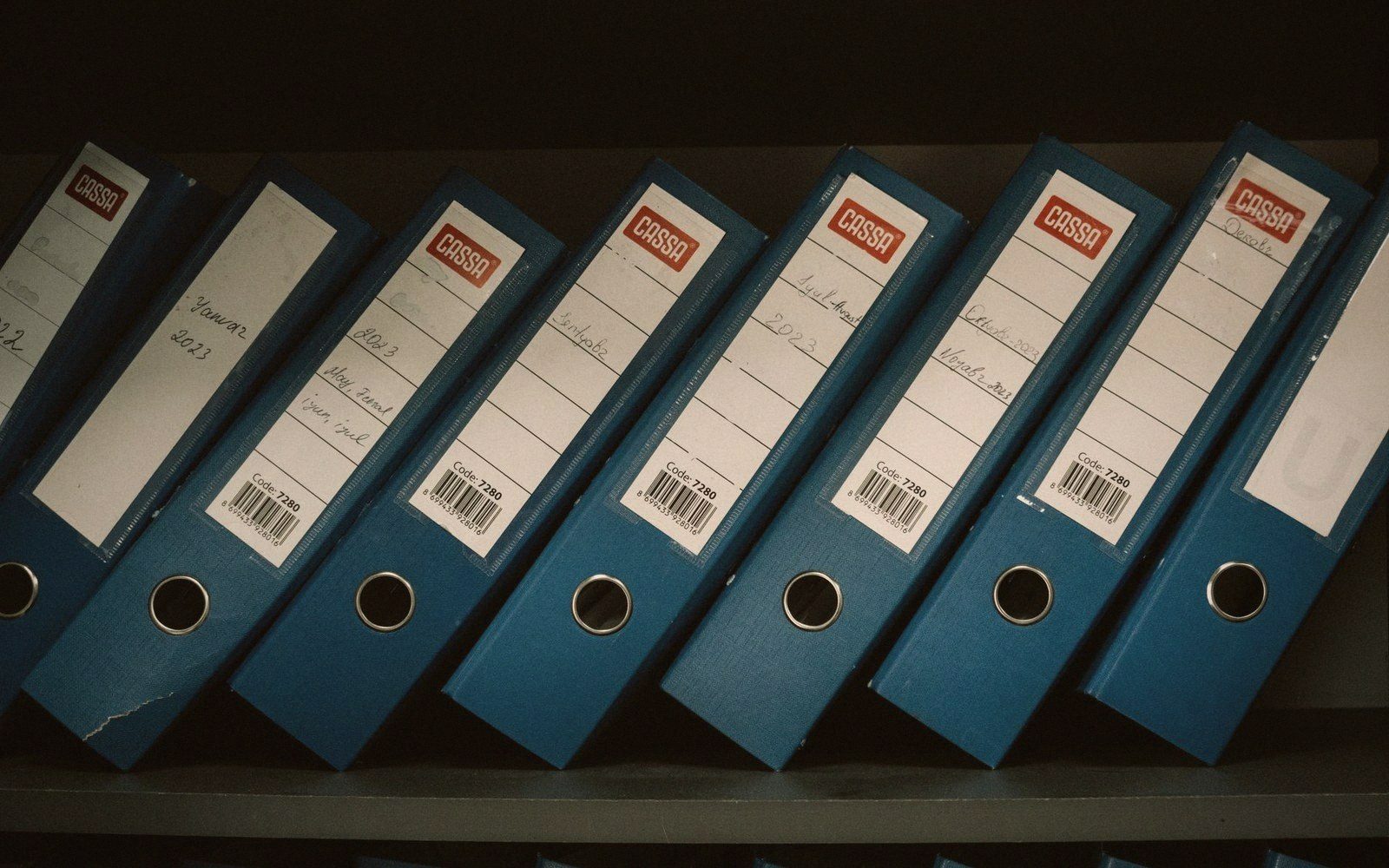 Blue ring binders with handwritten labels lined up on a shelf
